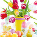 Cafe Cafetaria Halfweg Nourriture