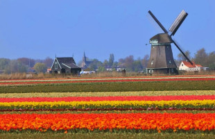 Camping Callantsoog Tempelhof Exterior