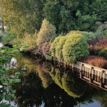 Buck Kitchen Extérieur