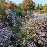 Buck Kitchen Extérieur