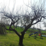 Theetuin De Winkel Exterior