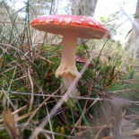 Florilympha Extérieur