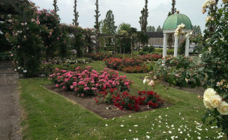 Flora Boskoop Extérieur