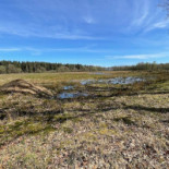 Boomkroonpad Extérieur