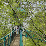 Boomkroonpad Extérieur