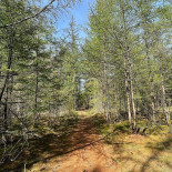 Boomkroonpad Extérieur