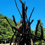 Boomkroonpad Extérieur