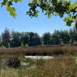 Boomkroonpad Extérieur