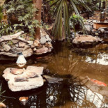 Frites Affairs À l'intérieur