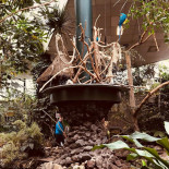 Frites Affairs Extérieur