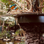 Frites Affairs Extérieur