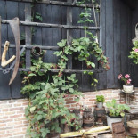 Droomhotel 't Heinenhoes Extérieur