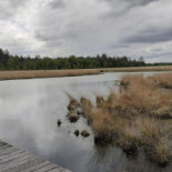 Camping De Schaopvolte Exterior