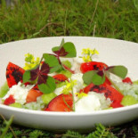 Explode By Peter Lute Nourriture