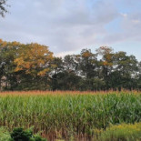 Erve De Wezel Extérieur