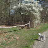 Erve De Wezel Exterior