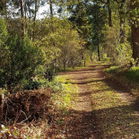 Erve De Wezel Exterior