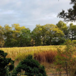 Erve De Wezel Exterior