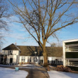 Mennorode B.v. Elspeet Exterior