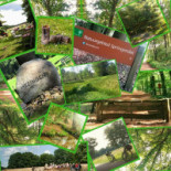 Twentsch Geluk Exterior