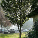 /rest Auberge De Papenberg Exterior