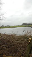 Bed Breakfast, Blikopdepolder outside