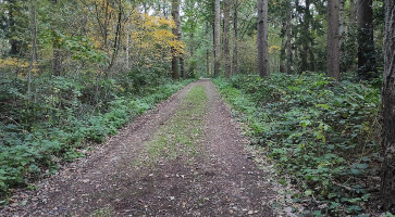De Spaarbankhoeve B.v. Fluitenberg Extérieur