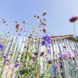 De Theeplaats Extérieur