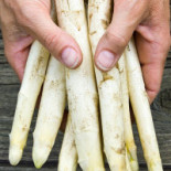 Van Der Valk Nourriture