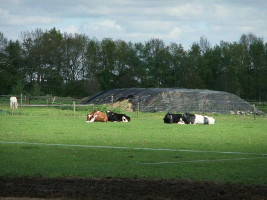 Plattelandsant Op De Deel Zuidwolde Drenthe outside