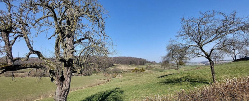 Cafe De Paardestal Exterior
