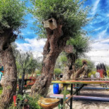 De Jungle Extérieur