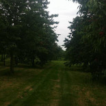 Rumptse Boght Extérieur