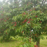 Rumptse Boght Extérieur