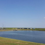 W.v. Saeftinghe Außen