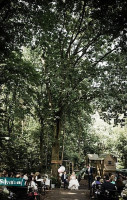 Meneer Van Eijck outside