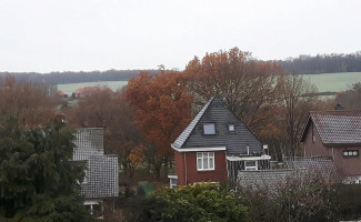 Beukenhorst outside