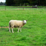 Hegen Wezup Extérieur