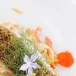 Picknickers Nourriture