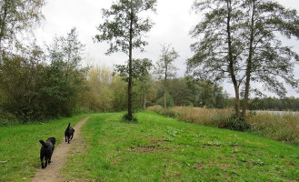 Burnside Dining Extérieur