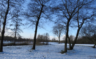 Burnside Dining Extérieur