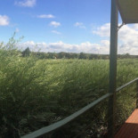 Cafe De Taverne Extérieur