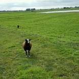 L'appel De Oude School Extérieur