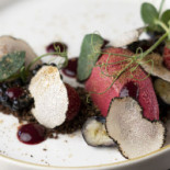 Fox Denekamp Nourriture