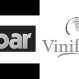 Vitis Vinifera Logo