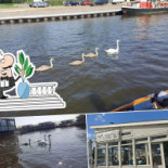 De Dikke Muis Extérieur