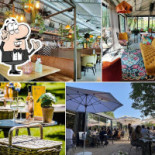 De Brielsche Aap Gourou