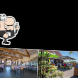 De Brielsche Aap Gourou