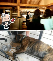 Paviljoen 't Schor guru