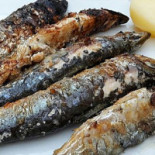 Café De Zon Hasselt Nourriture